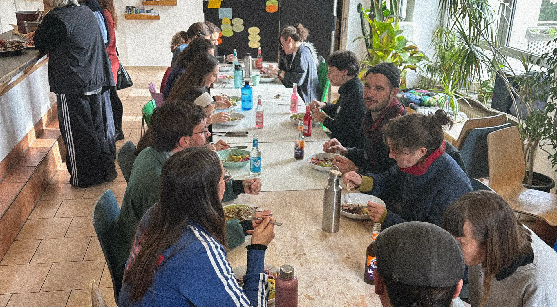 Eine Gruppe von Menschen sitzt an einer lange Tafel und essen. Im Hintergrund stehen Pflanzen und eine Pinnwand mit vielen Zetteln.