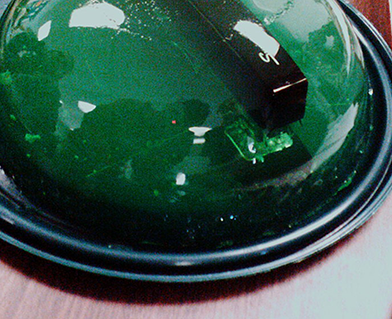 Bild eines Tackers in grünem Gelee eingeschlossen